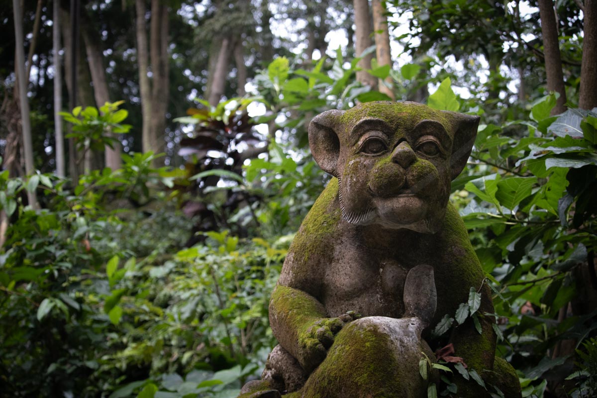 Mossy Sentinel
